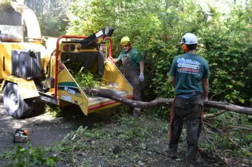 tree services Tulare